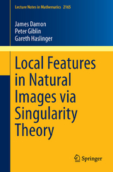 Local Features in Natural Images via Singularity Theory - James Damon, Peter Giblin, Gareth Haslinger
